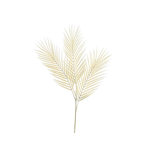 Essential Dry Look Bleached Fern Leaf