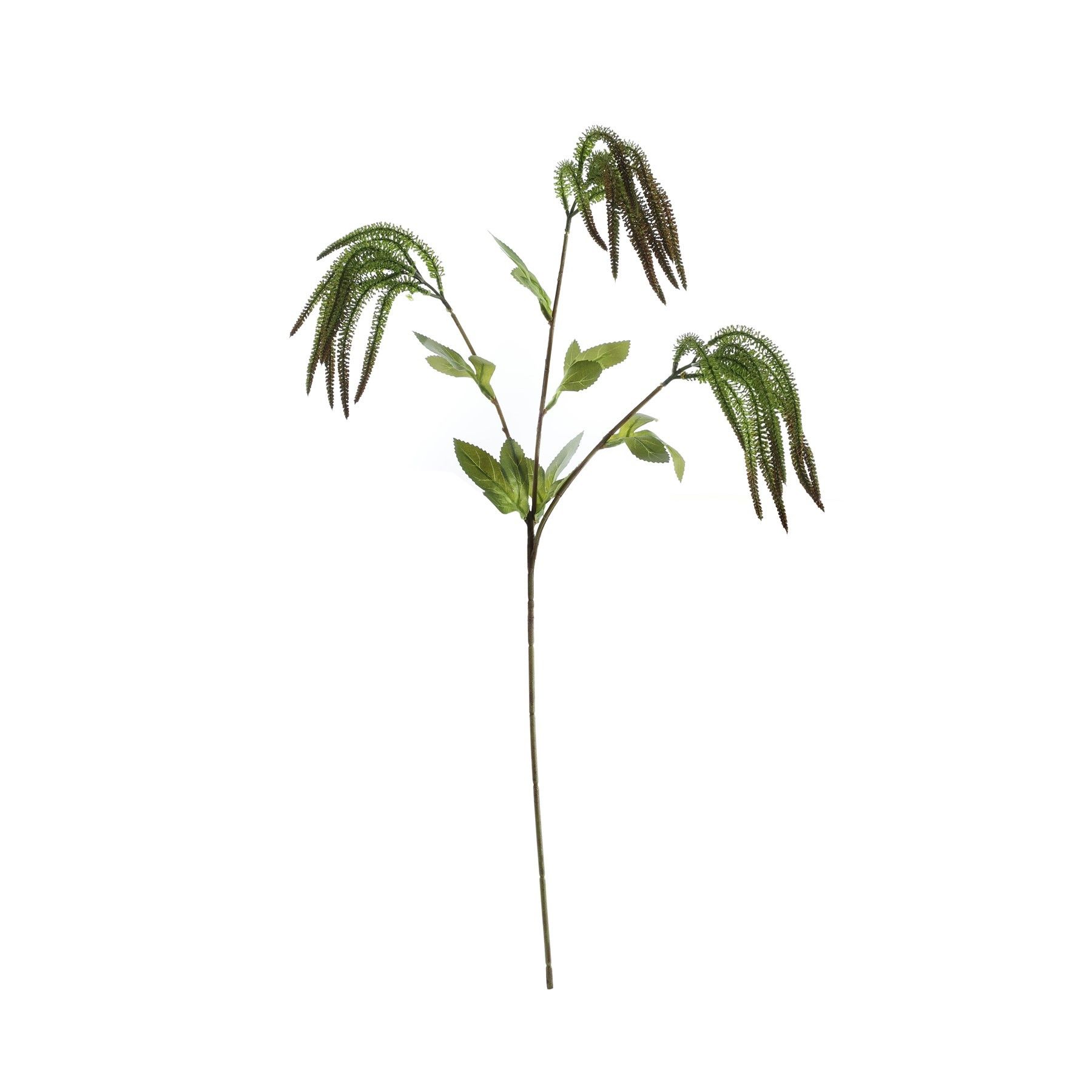 Essential Catkin Spray - Green 