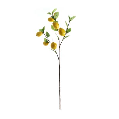 Lemon Branch