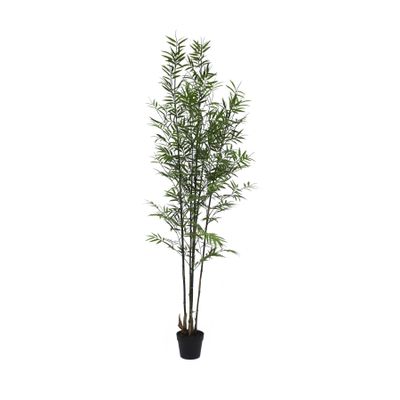 Botanica Bamboo U.V - 182cm
