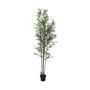 Botanica Bamboo U.V - 182cm