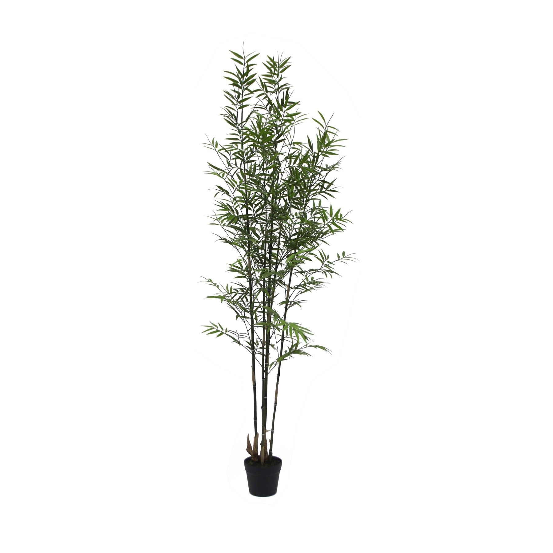Botanica Bamboo U.V - 182cm
