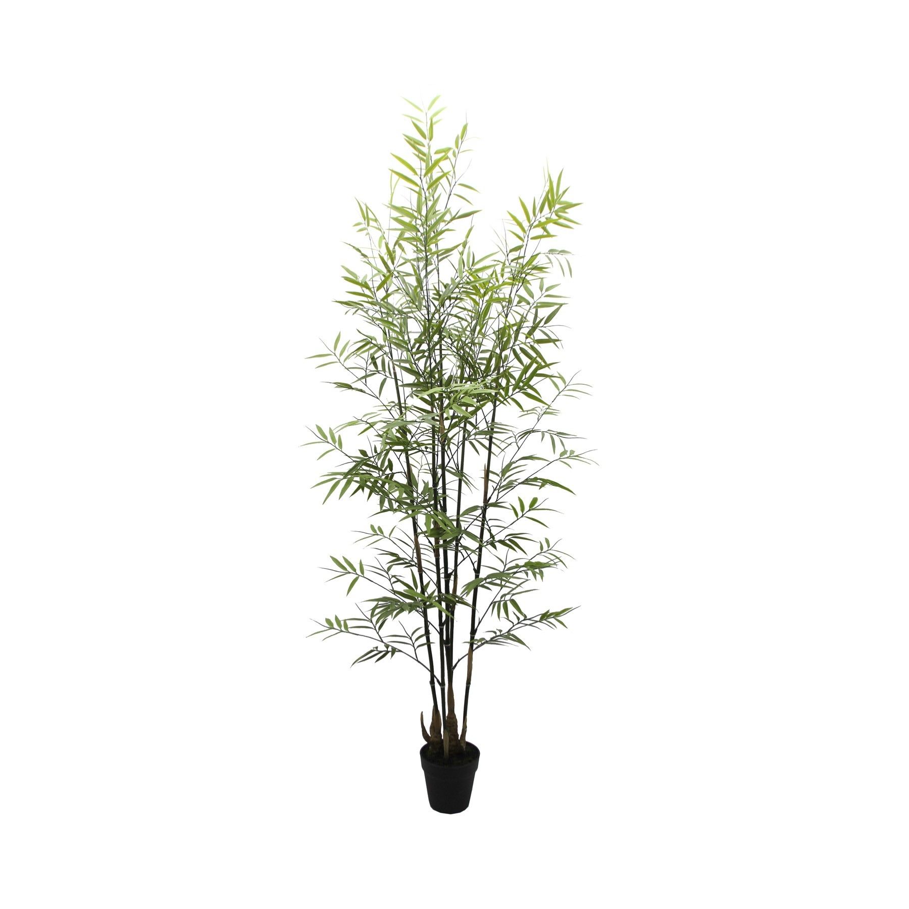 Botanica Bamboo U.V - 152cm