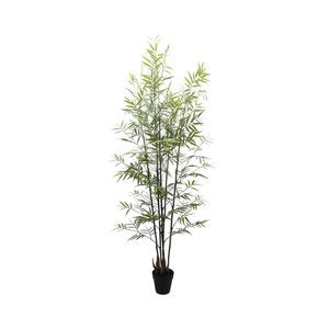 Botanica Bamboo U.V - 152cm