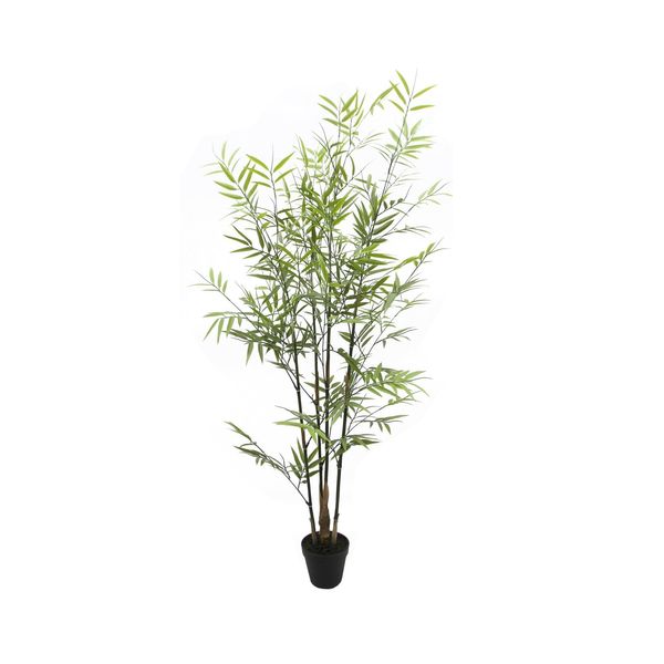 Botanica Bamboo U.V - 121cm
