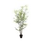 Botanica Bamboo U.V - 121cm
