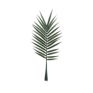 Botanica Palm Leaf - 127cm 