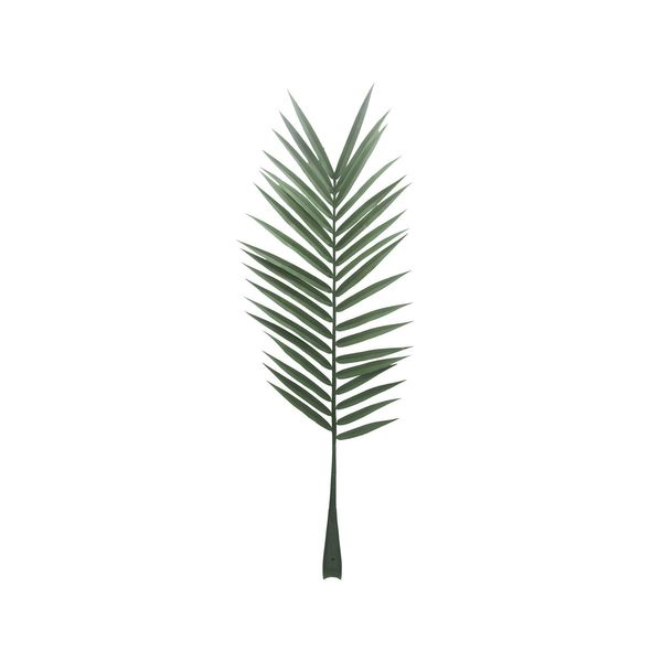 Botanica Palm Leaf - 147cm 