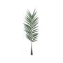 Botanica Palm Leaf - 147cm 