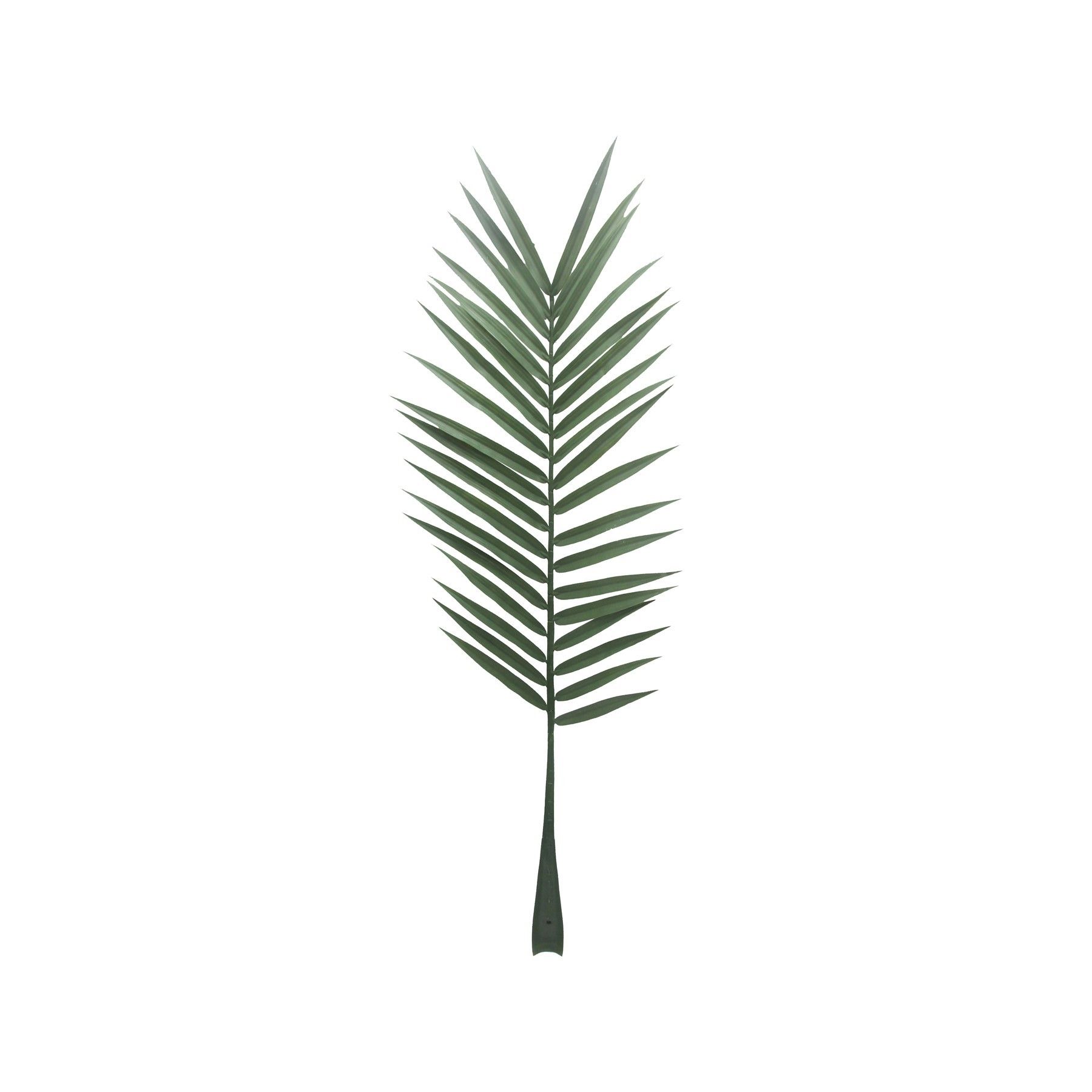 Botanica Palm Leaf - 147cm 
