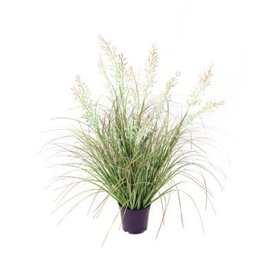 Potted Grass Bush - 63cm