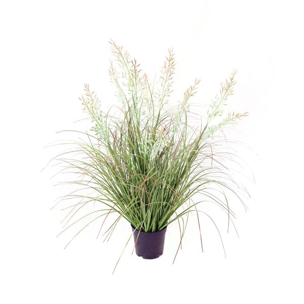 Potted Grass Bush - 63cm