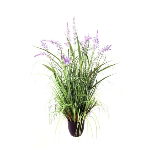 Potted Lavender Grass - 106cm