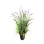 Potted Lavender Grass - 106cm