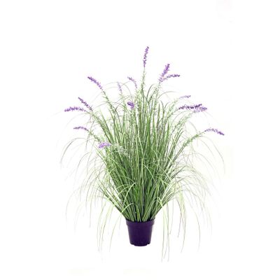 Potted Lavender Grass - 111cm