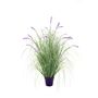 Potted Lavender Grass - 111cm