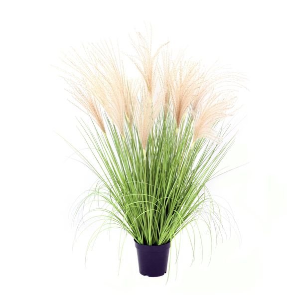 Potted Pampas Bush - 86cm