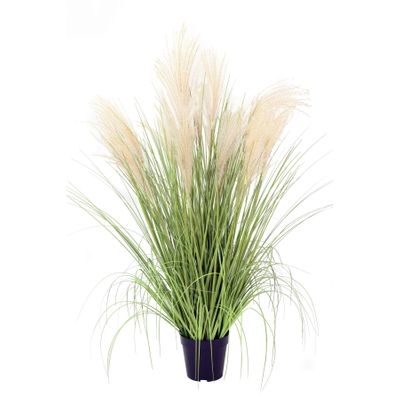 Potted Pampas Bush - 99cm