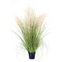 Potted Pampas Bush - 99cm