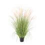 Potted Pampas Bush - 121cm