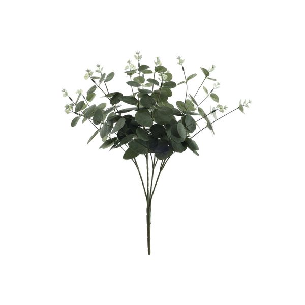 Eucalyptus Bush - Grey