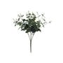 Eucalyptus Bush - Grey