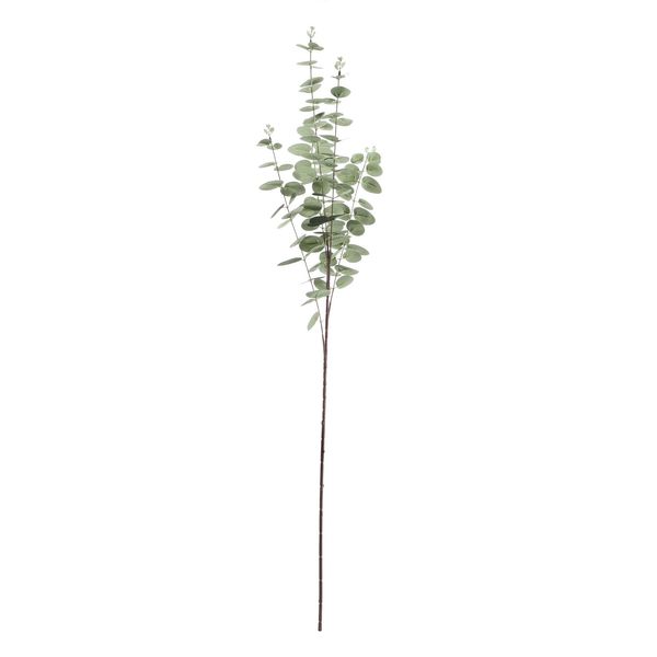 Eucalyptus Stem -Grey