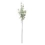 Eucalyptus Stem -Grey