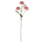 Essential Viburnum Spray - Pink
