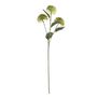 Essential Viburnum Spray - Light Green