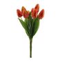 Essential Tulip Bunch - Orange