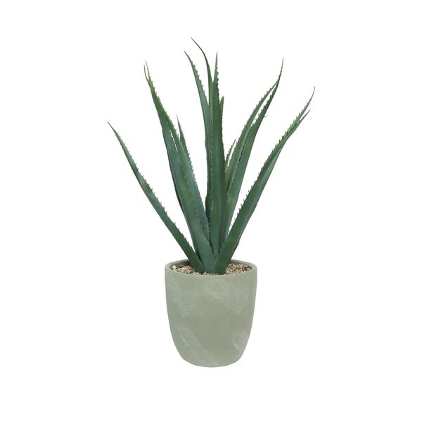 Botanica Agave Med Potted - Grey