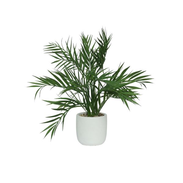 Botanica Palm Potted - White