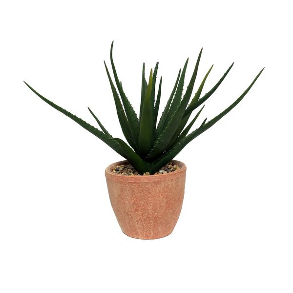 Botanica Agave Potted - Terracotta - 44cm