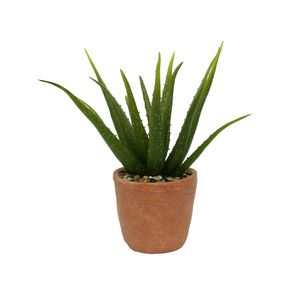 Botanica Agave potted - Terracotta - 35cm