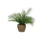 Botanica Palm Potted - Terracotta - 35cm