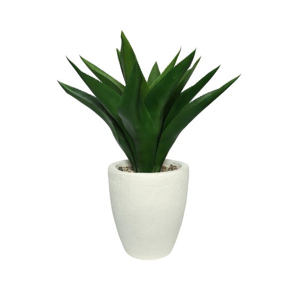 Botanica Agave Potted - White - 73cm