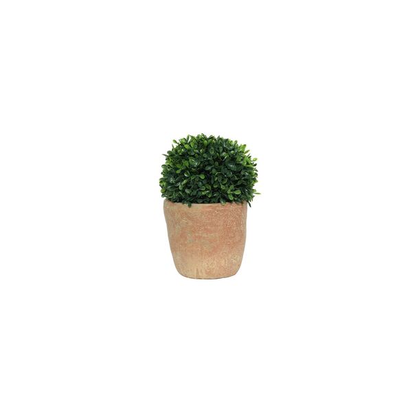 Botanica Topiary Potted - Terracotta - 15cm