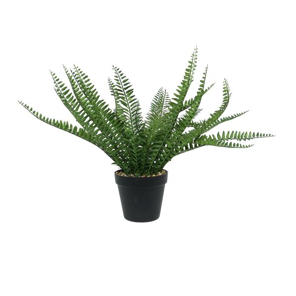 Botanica Fern Potted - Black - 44cm