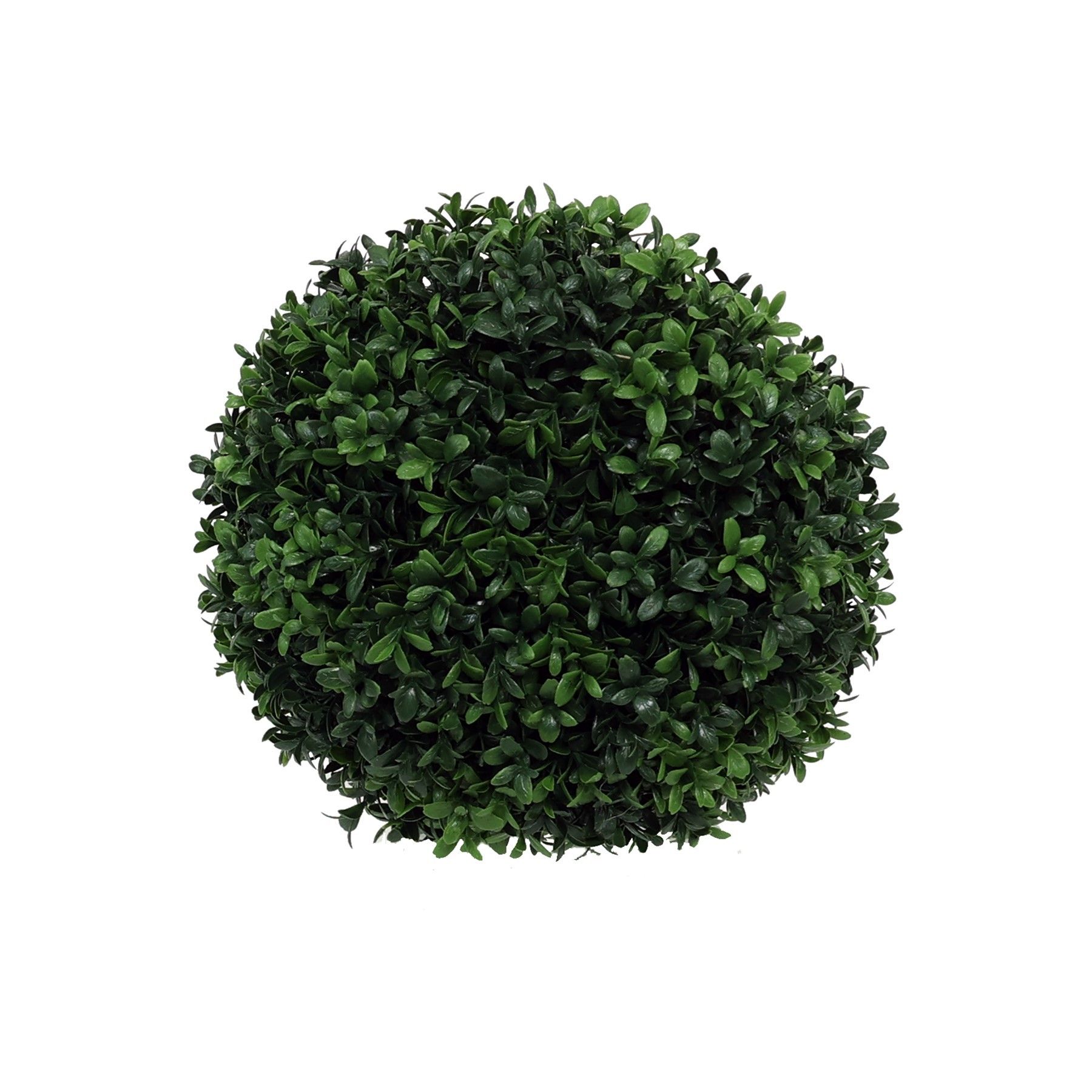 Botanica Box - 31cm