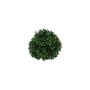 Botanica Box - 19cm