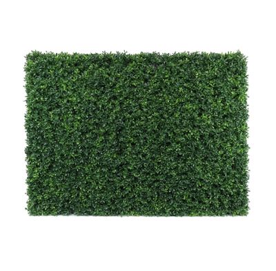 Botanica Hedge U.V - 96cm x 62cm