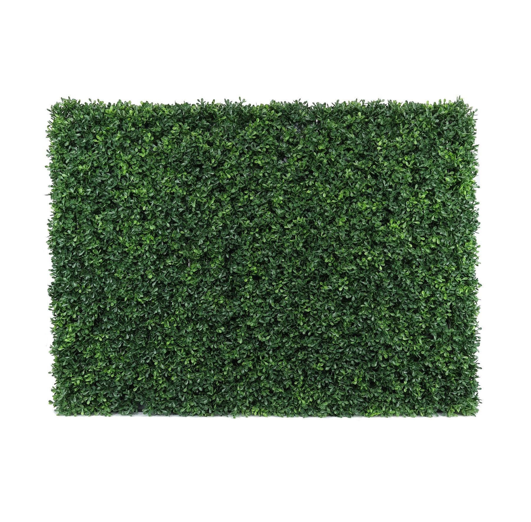 Botanica Hedge U.V - 96cm x 62cm