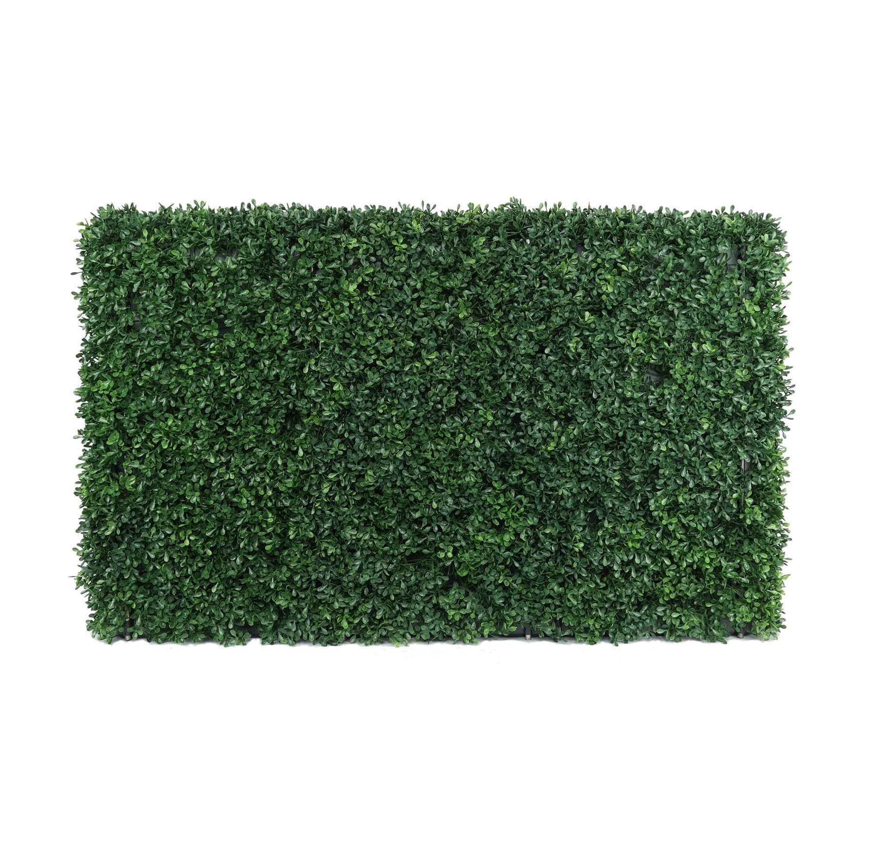 Botanica Hedge U.V - 96cm x 47cm
