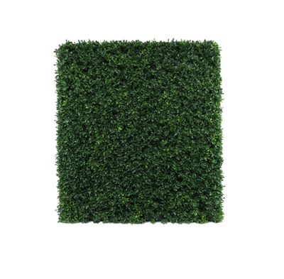 Botanica Hedge U.V - 66cm x 76cm