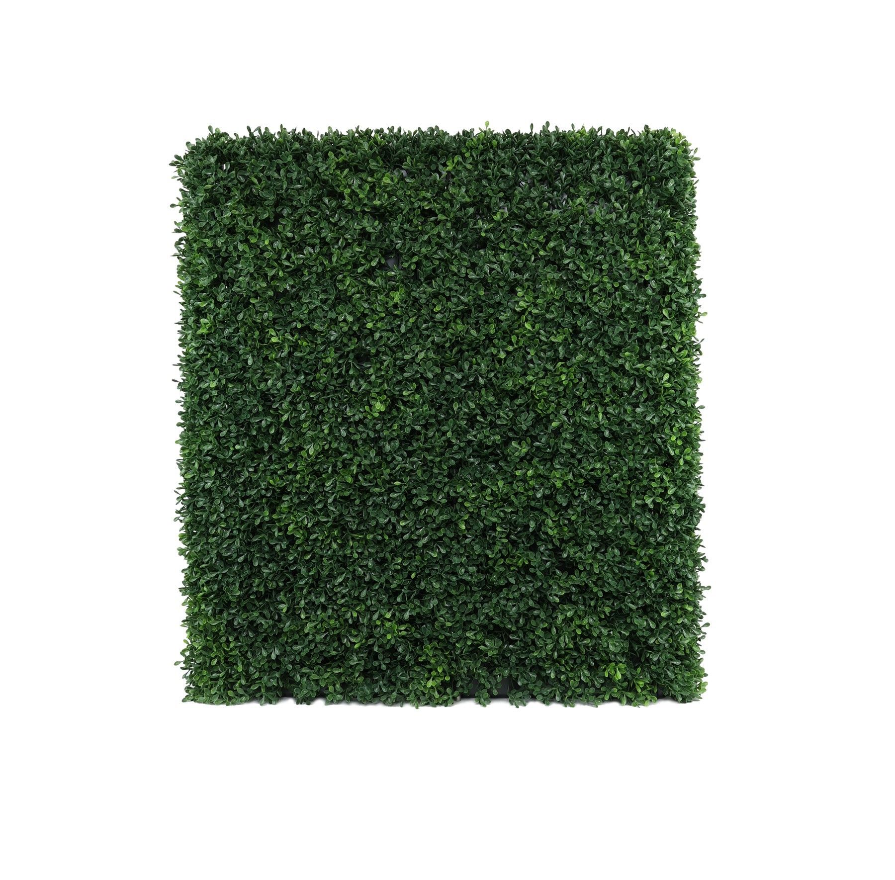 Botanica Hedge U.V - 66cm x 76cm