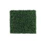 Botanica Hedge U.V - 66cm x 62cm