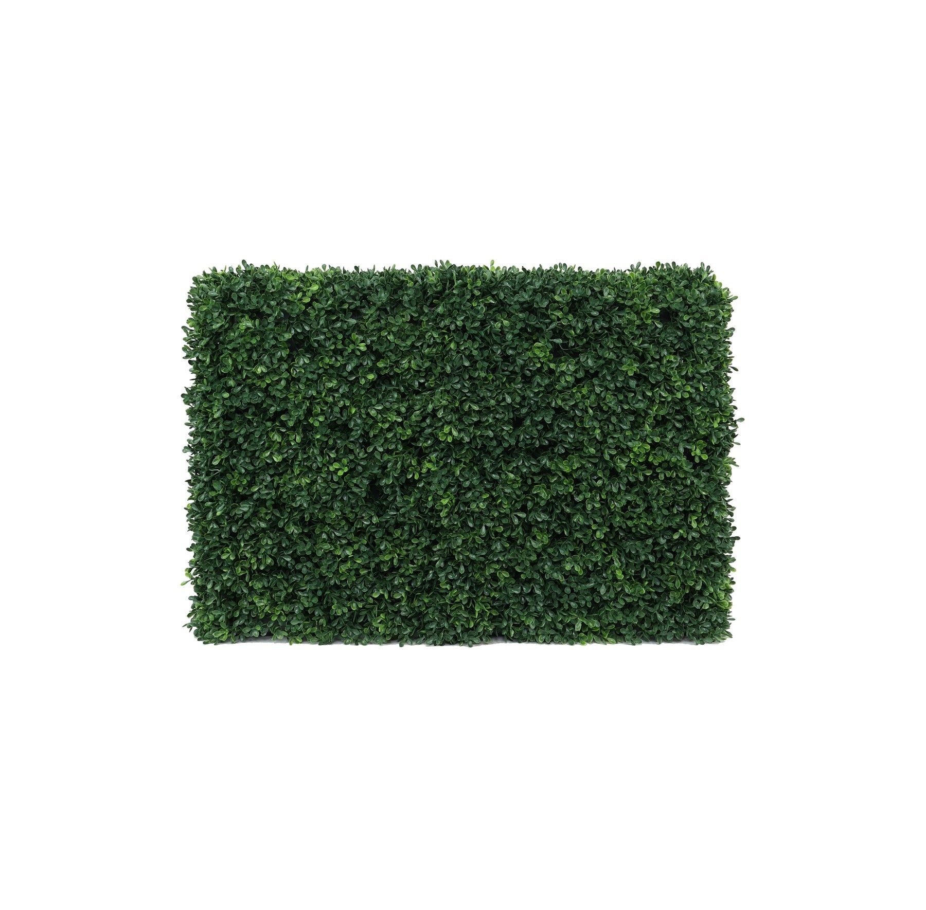 Botanica Hedge U.V - 66cm x 48cm