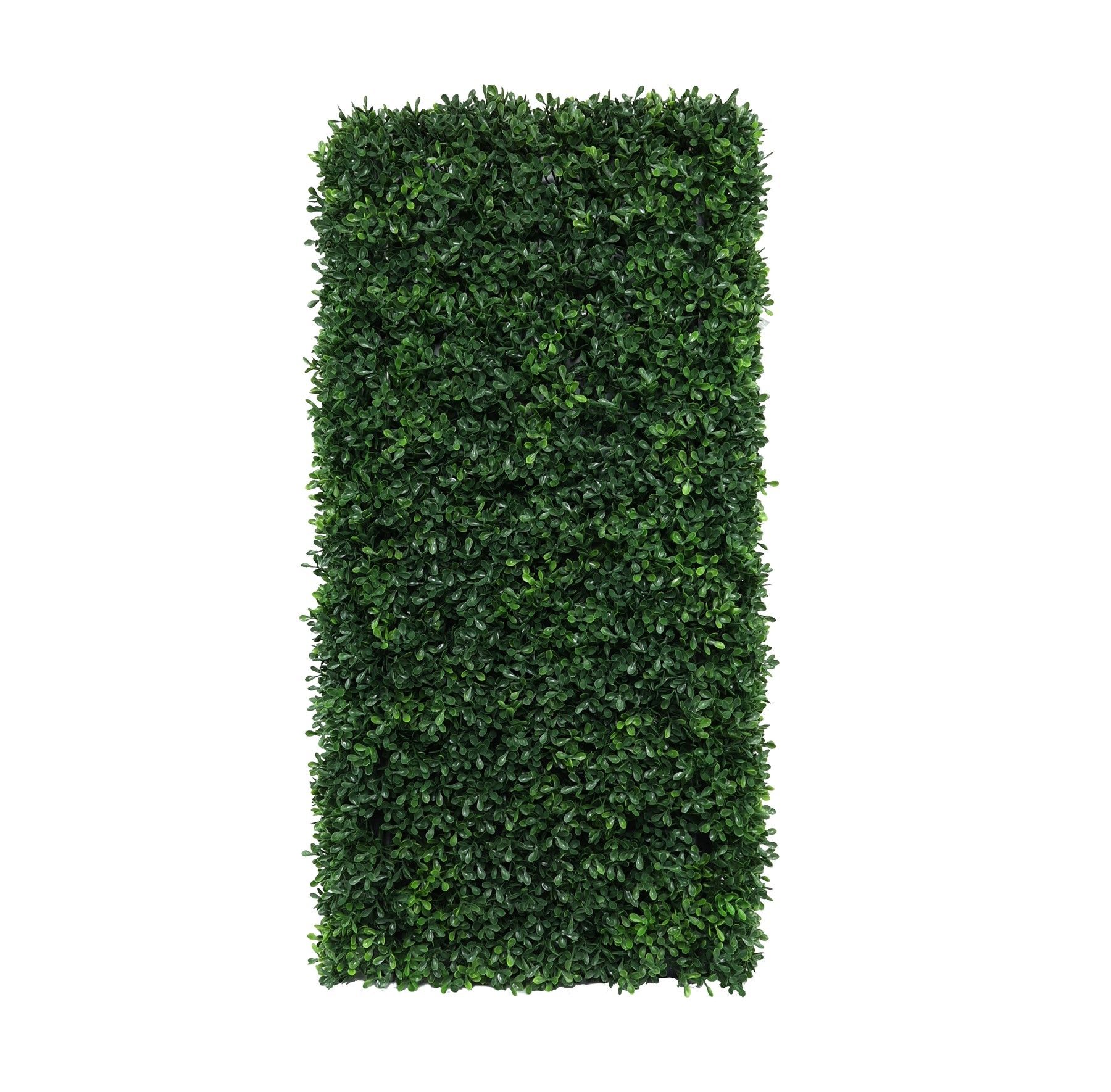 Botanica Hedge U.V - 37cm x 76cm