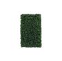 Botanica Hedge U.V - 37cm x 62cm